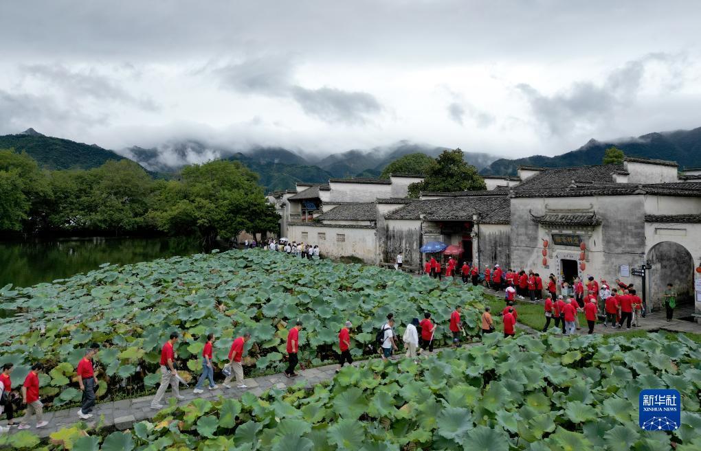 2018白菜彩金大全